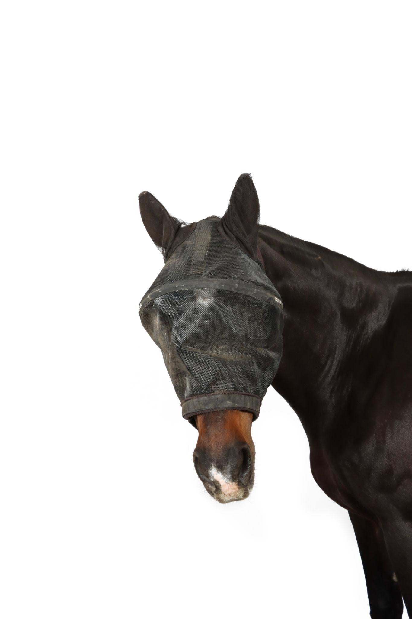 Horse Fly Mask Breathable Mesh Face Protection for Horses