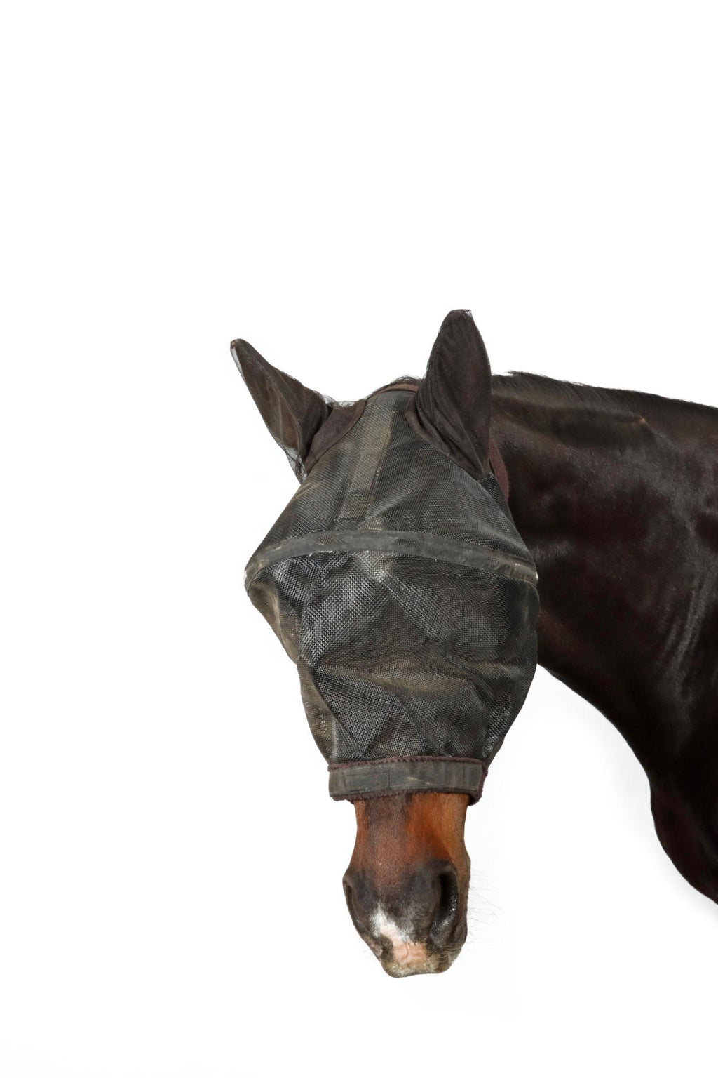 Horse Fly Mask Breathable Mesh Face Protection for Horses