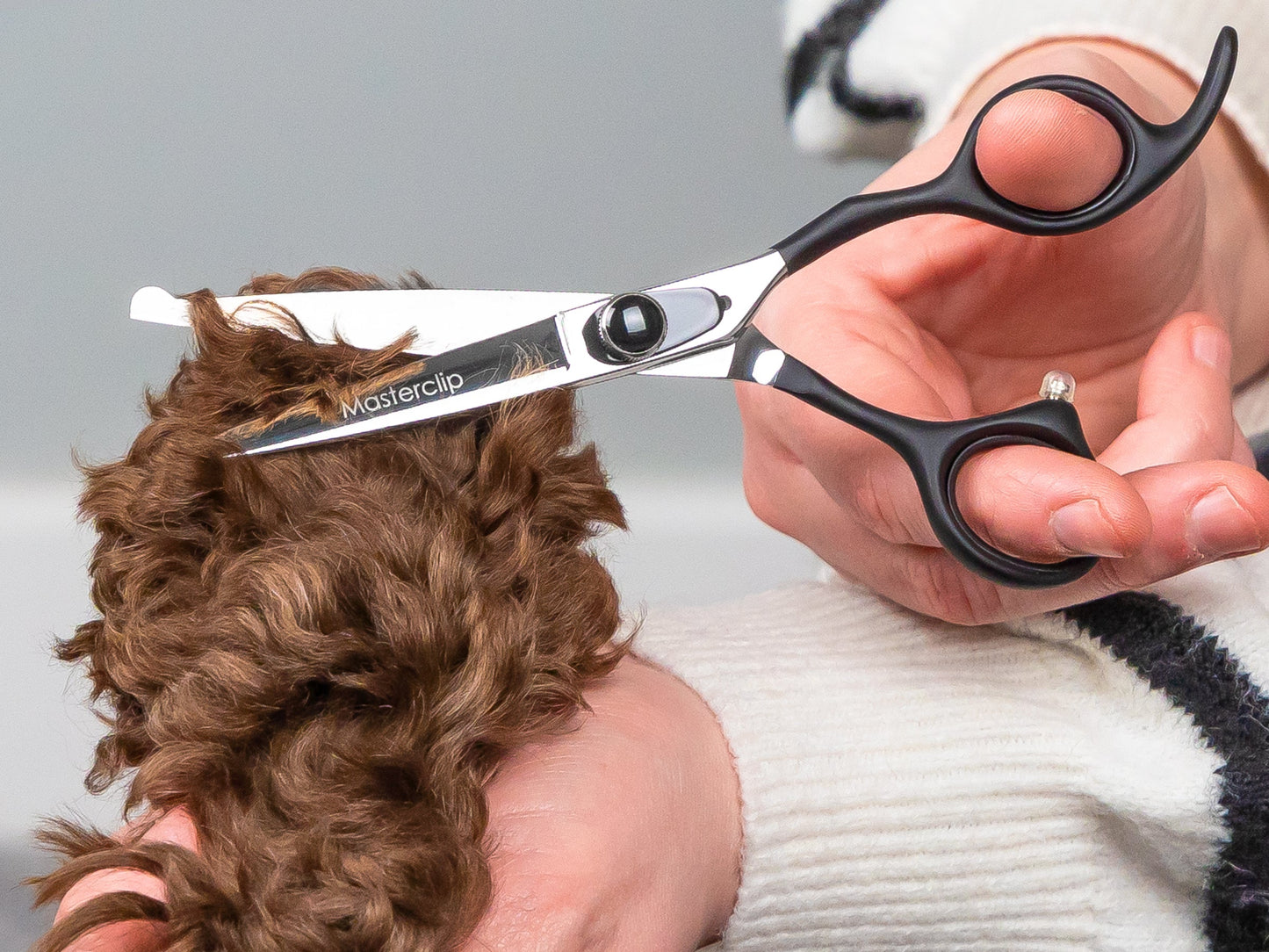 ONYX - 6” Premium Bull Nose Dog Grooming Scissors Shears | Right Handed