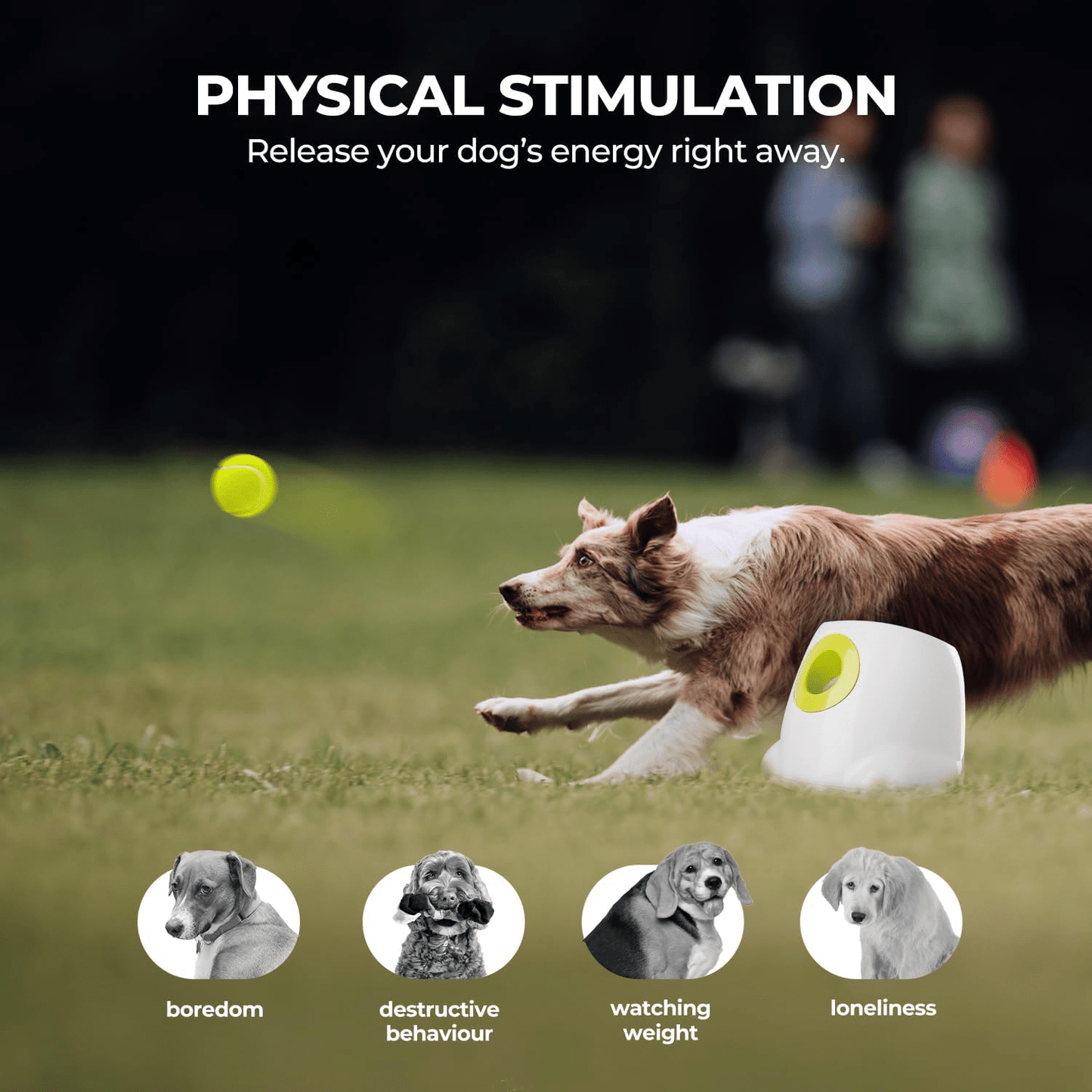 Automatic Dog Ball Launcher Interactive Thrower