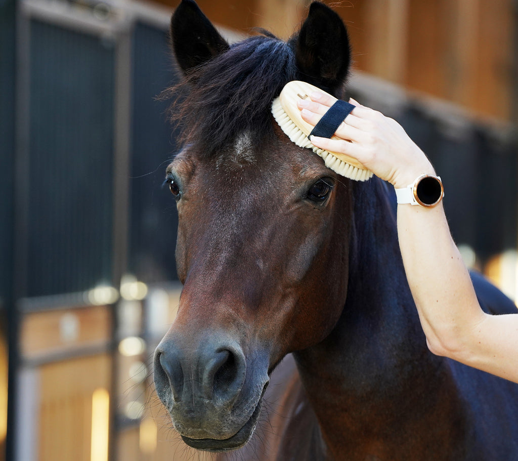 Horse Grooming Brush Soft Bristle Equestrian Cleaning Brush