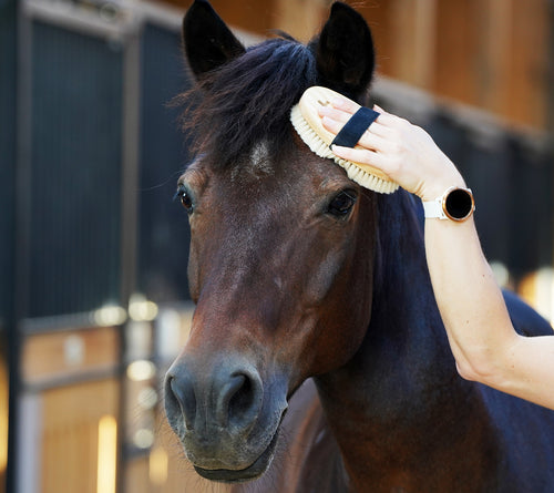 Horse Grooming Brush Soft Bristle Equestrian Cleaning Brush